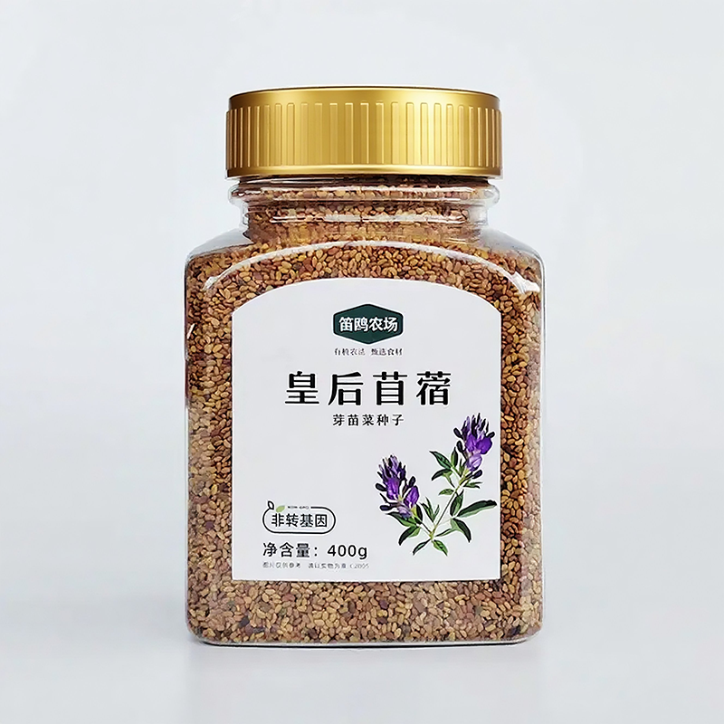 苜蓿芽菜种子
